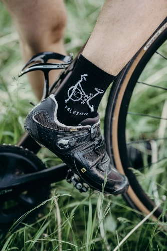 ptns_1.06 (37 of 107) copy.webp