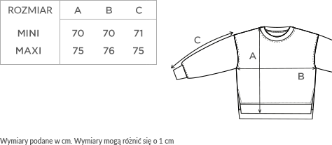 BLUZA ZIEMIANKA.png